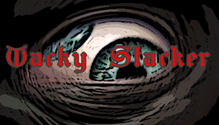 Wacky Stacker Banner